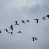 Tiengemeten